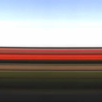 Tulip Fields Holland XXIV, 2006