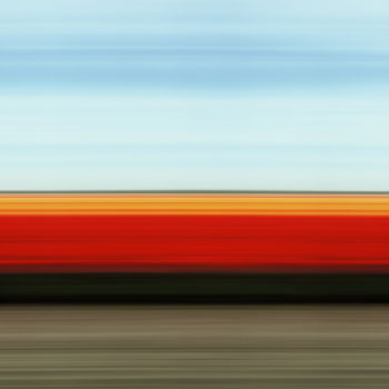 Tulip Fields III