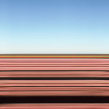 Tulip Fields XIX
