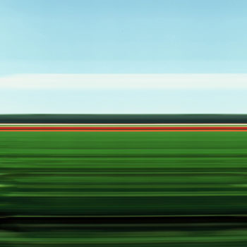 Tulip Fields XXI